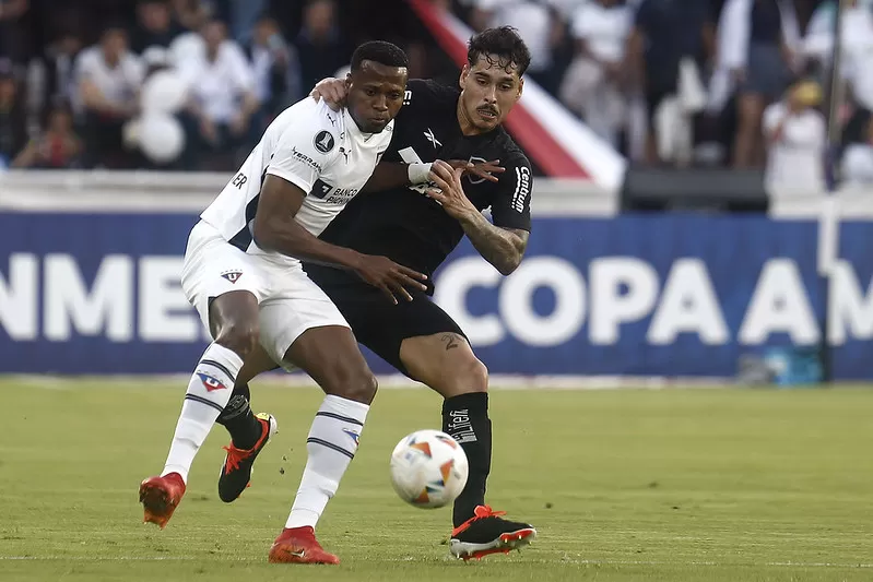 botafogo ldu lucas halter melhores momentos