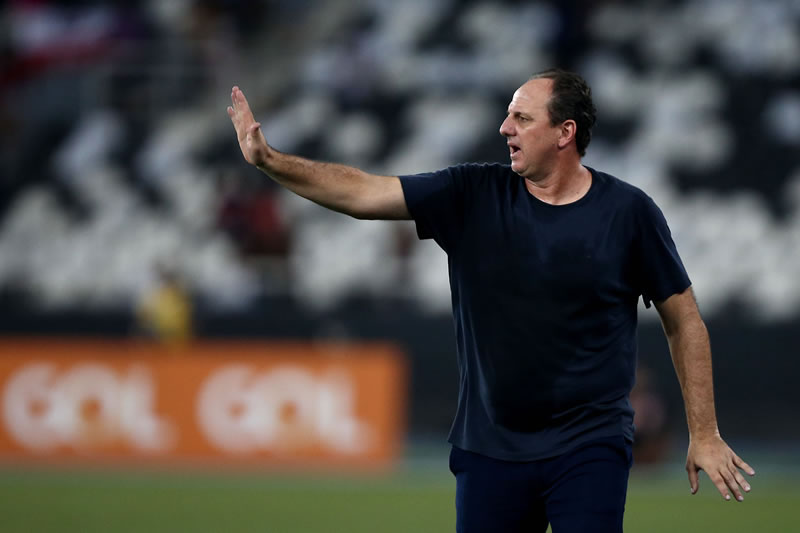 botafogo bahia rogerio ceni gramado nilton santos