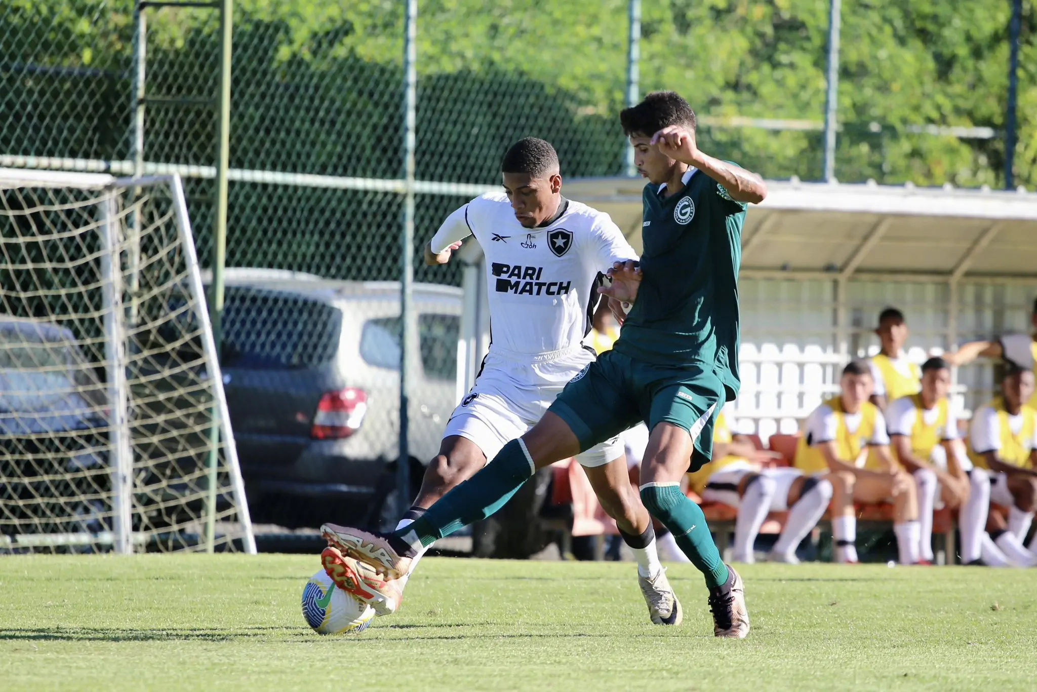 botafogo goias campeonato brasileiro sub-20