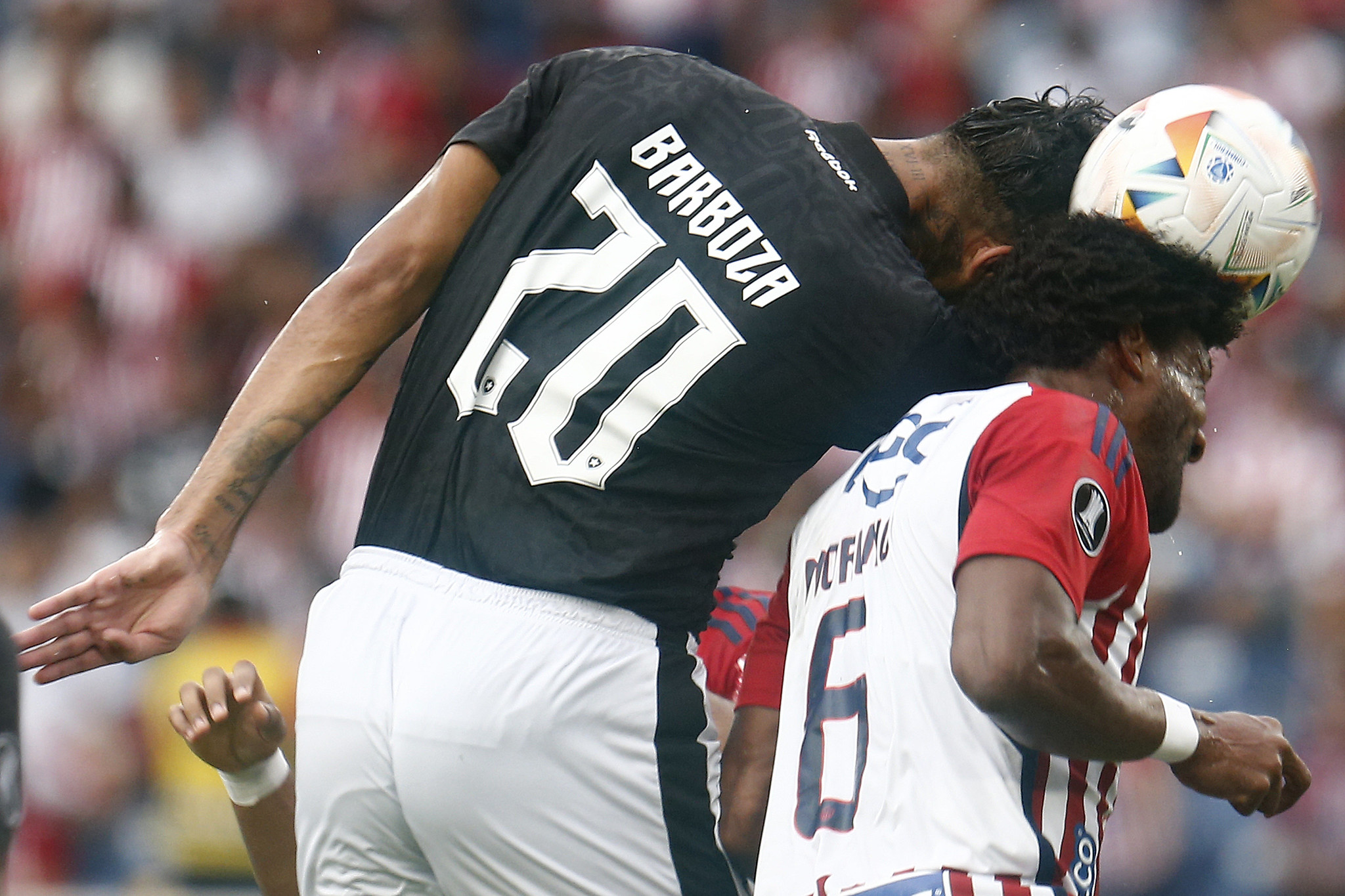 botafogo junior barranquilla alexander barboza