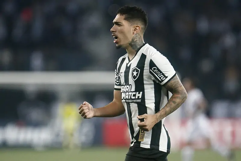 botafogo ldu lateral hugo