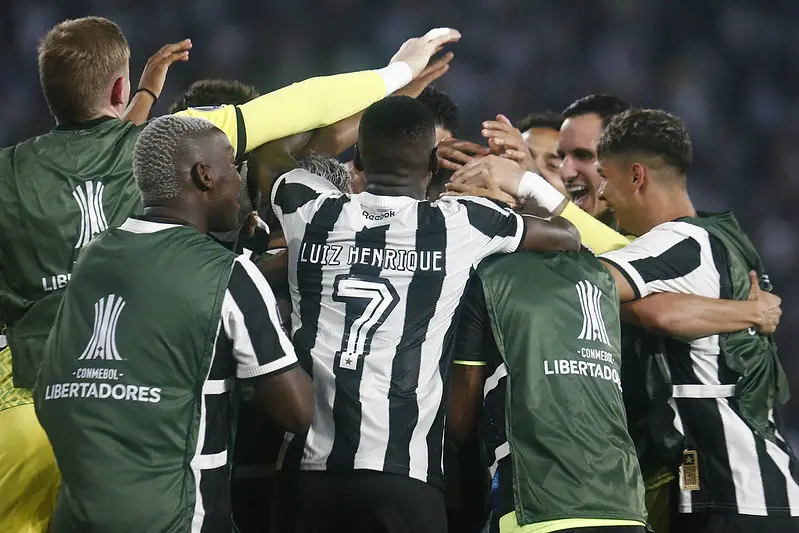 botafogo ldu melhores momentos