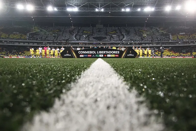 botafogo ldu torcida mosaico