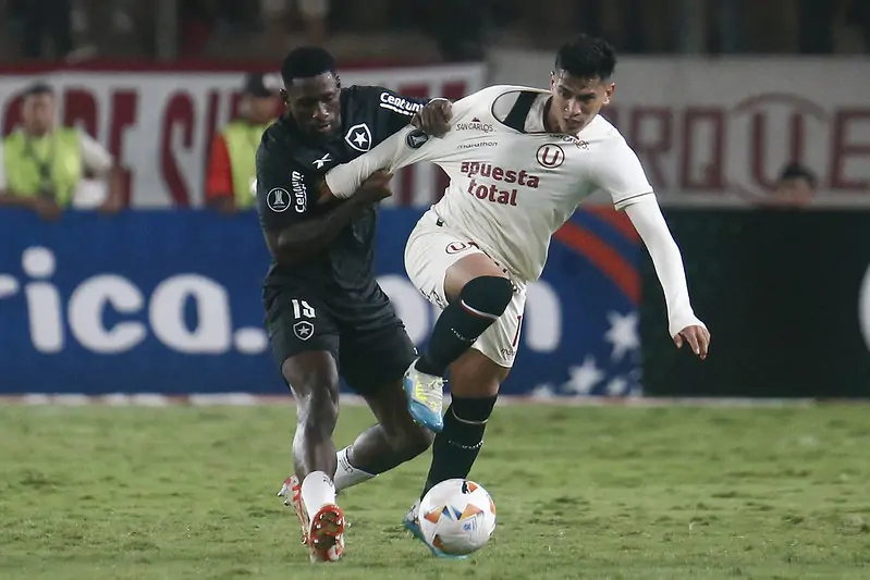 botafogo universitario bastos