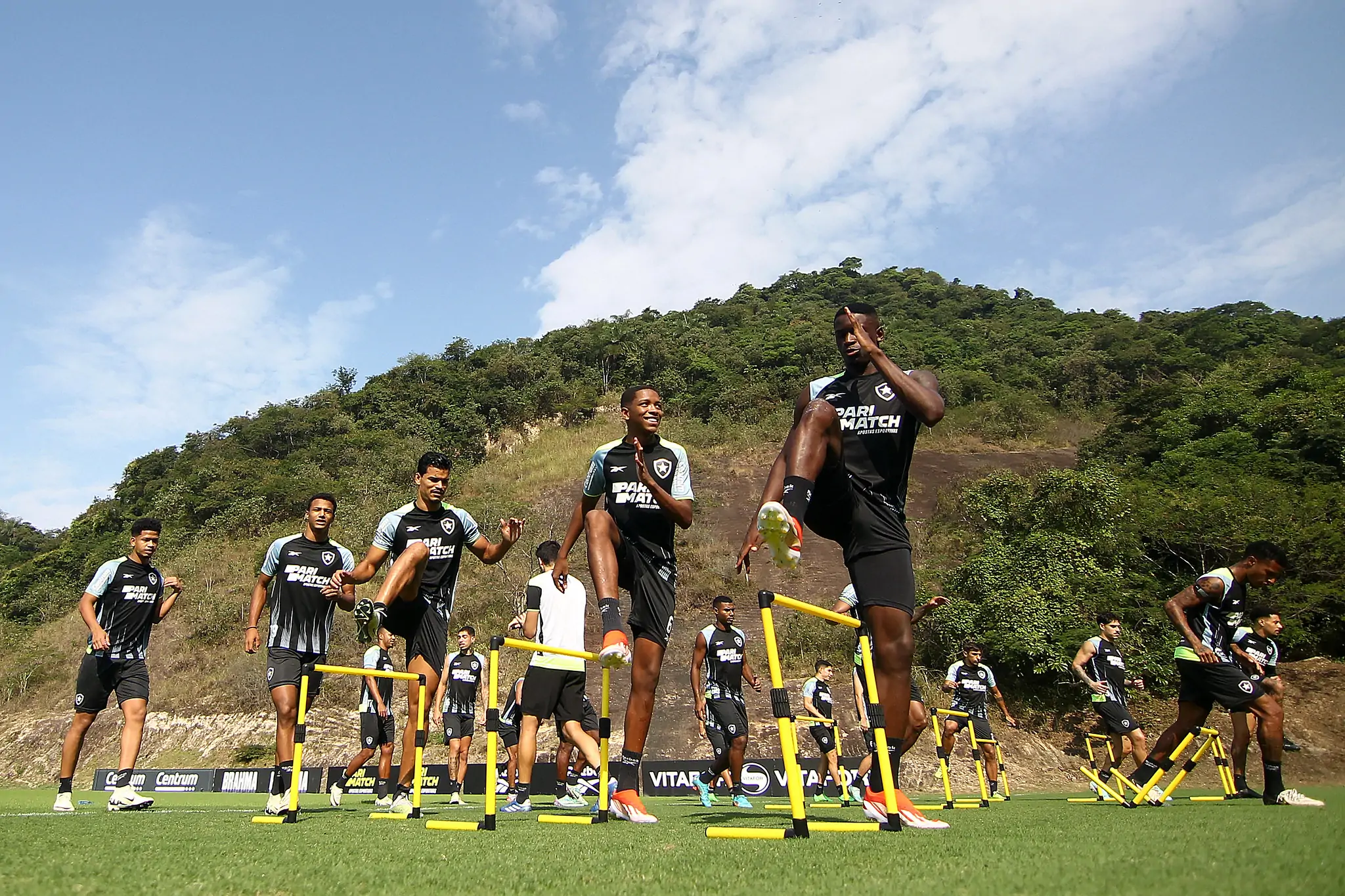 botafogo vitoria copa do brasil