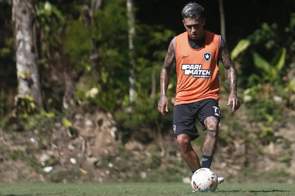 diego hernandez botafogo