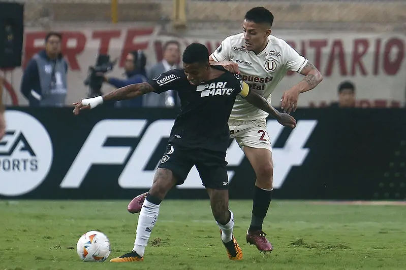 universitario botafogo tche tche