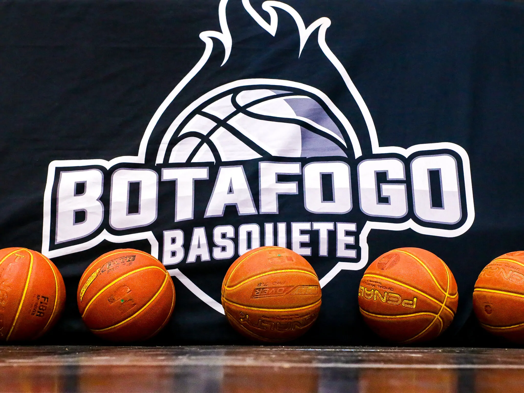 botafogo basquete