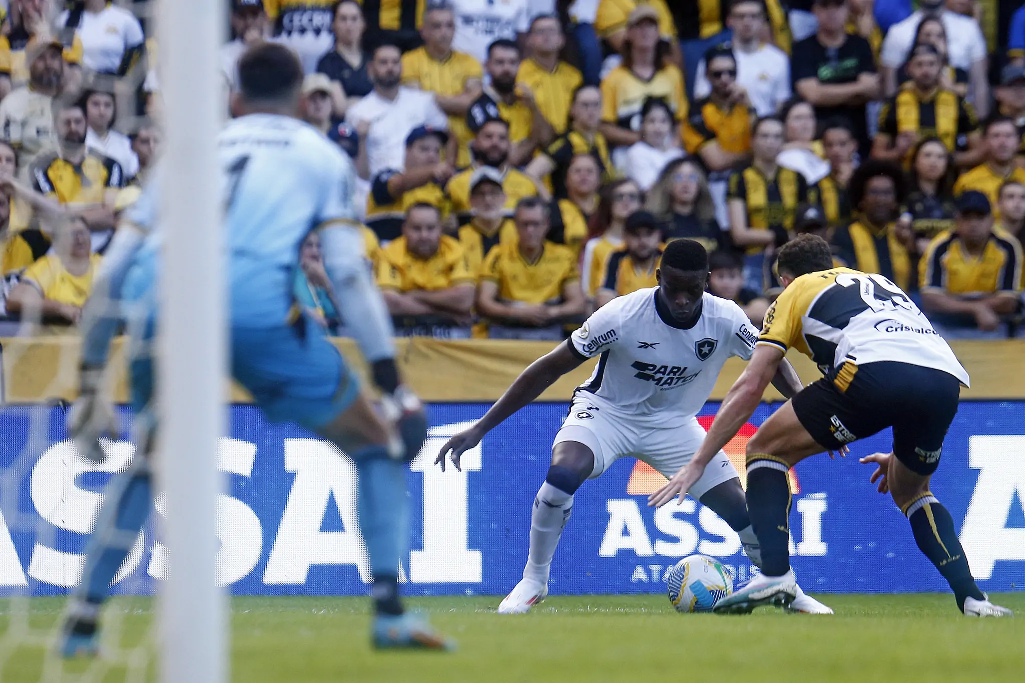 botafogo criciuma luiz henrique