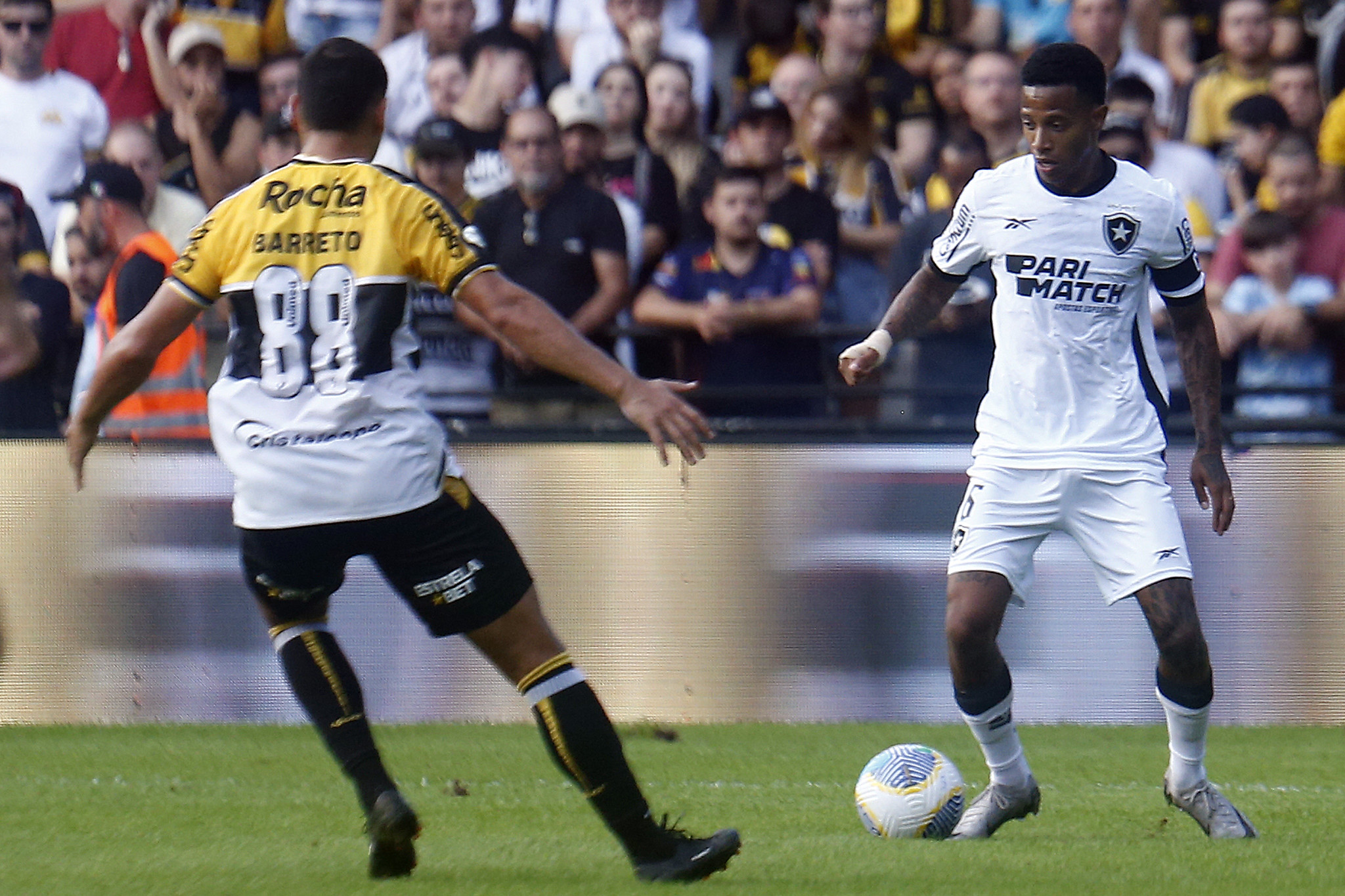 botafogo criciuma tche tche