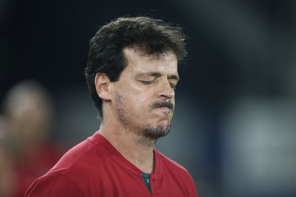 botafogo fluminense fernando diniz