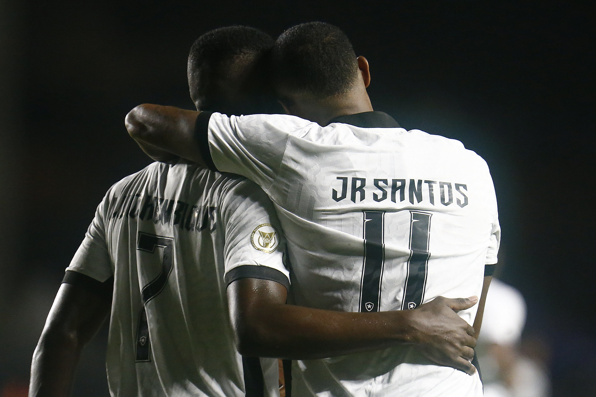 botafogo gremio luiz henrique junior santos