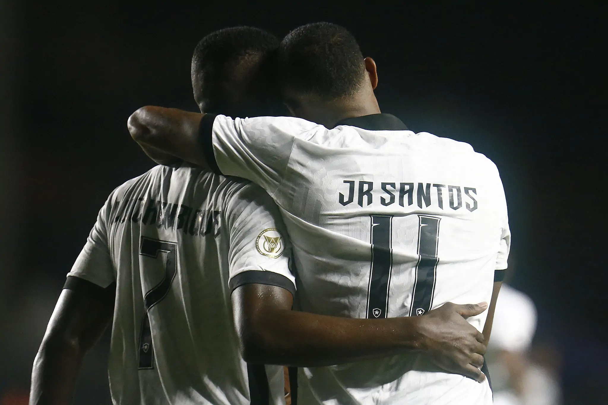 botafogo gremio luiz henrique junior santos