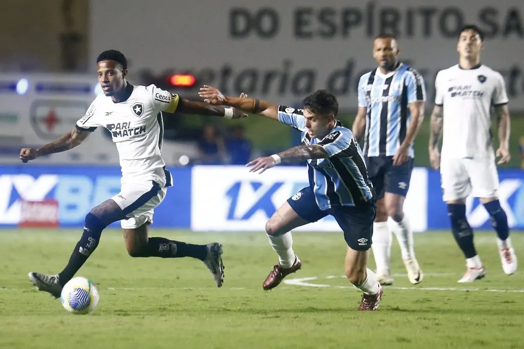 botafogo gremio tche tche