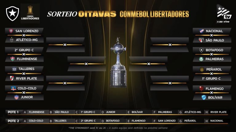 Botafogo vai enfrentar o Palmeiras nas oitavas da Libertadores; veja ...