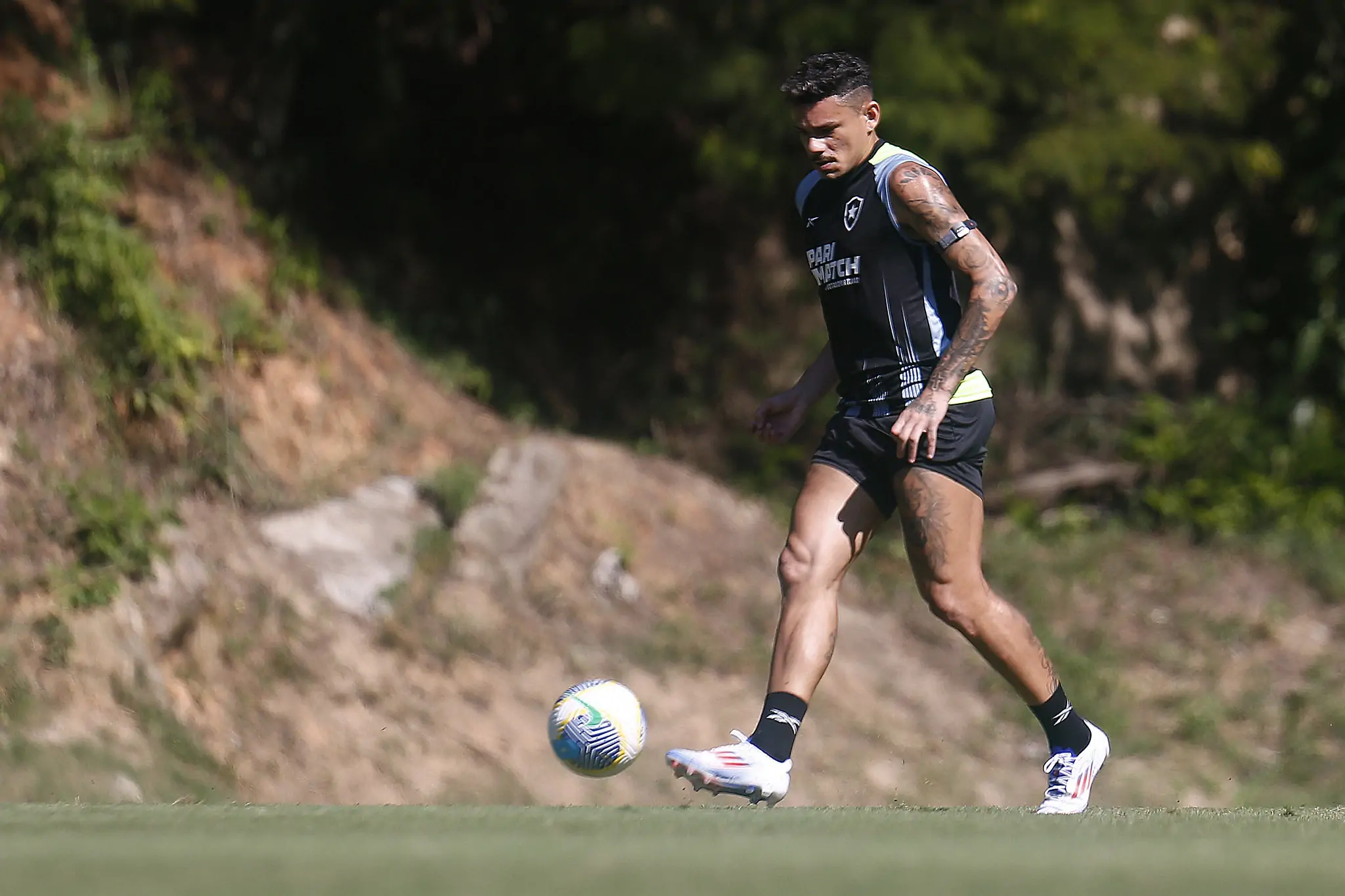 botafogo tiquinho soares