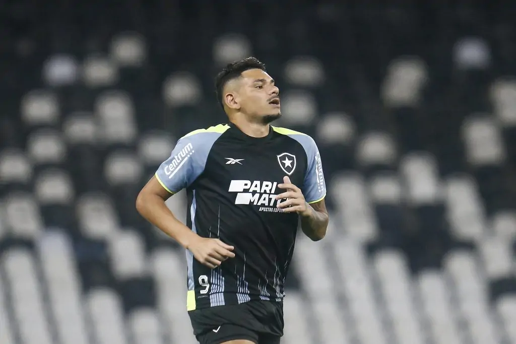 botafogo tiquinho soares