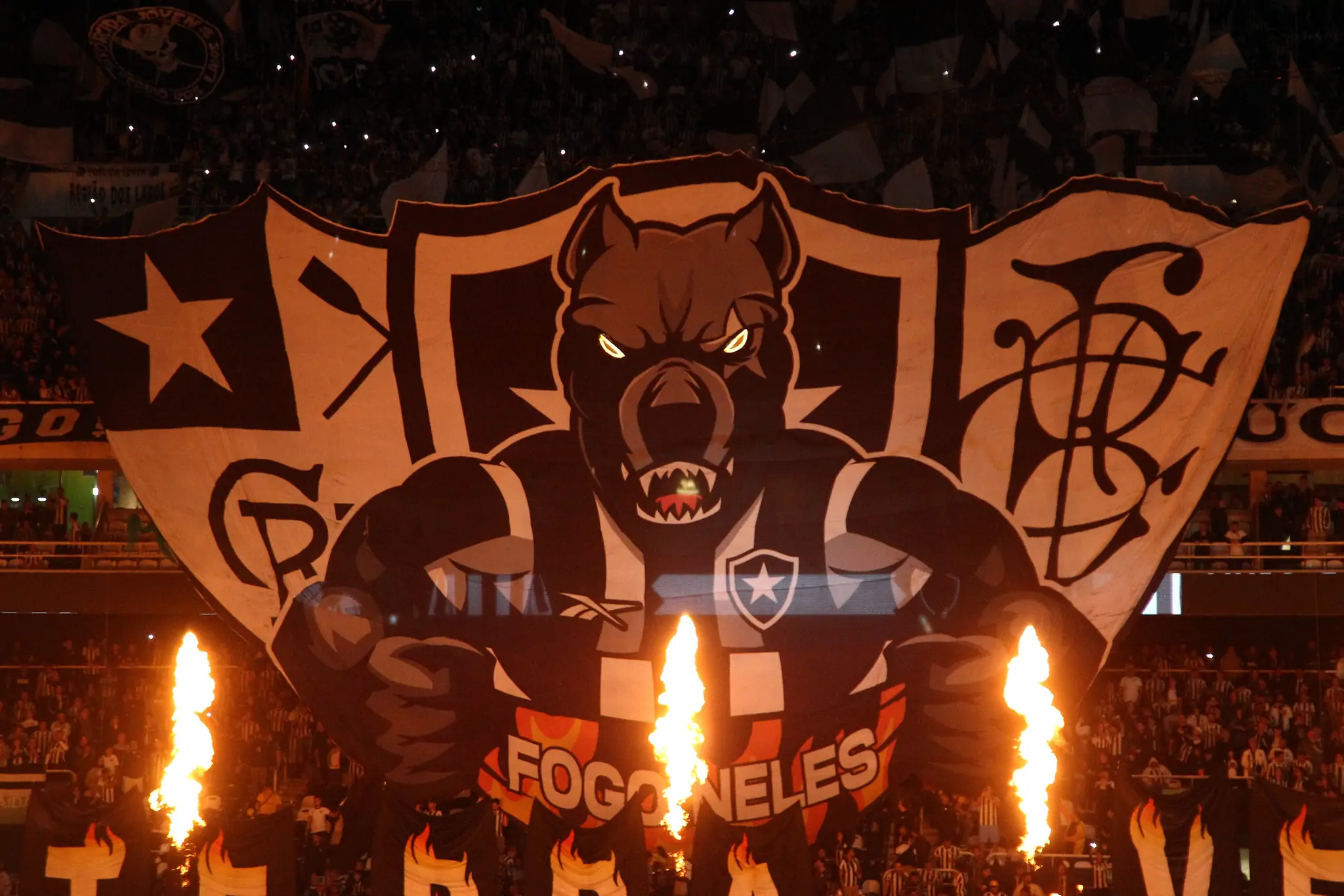 botafogo bahia torcida