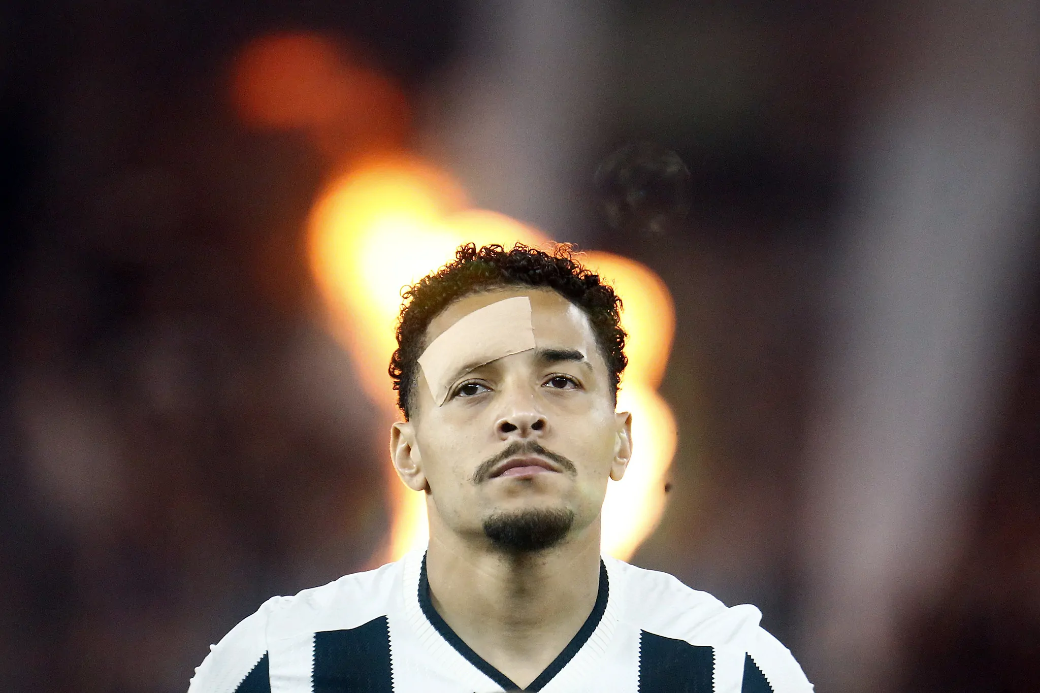 botafogo palmeiras gregore