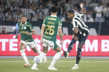 botafogo palmeiras junior santos (2)