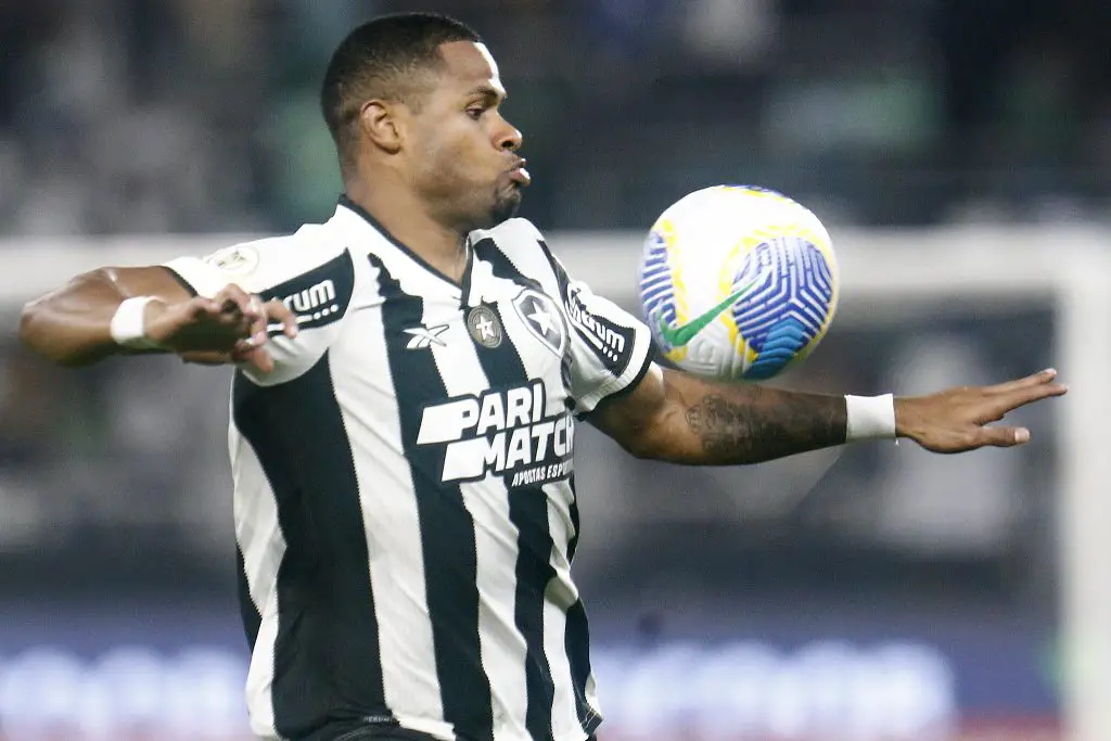 botafogo palmeiras junior santos close
