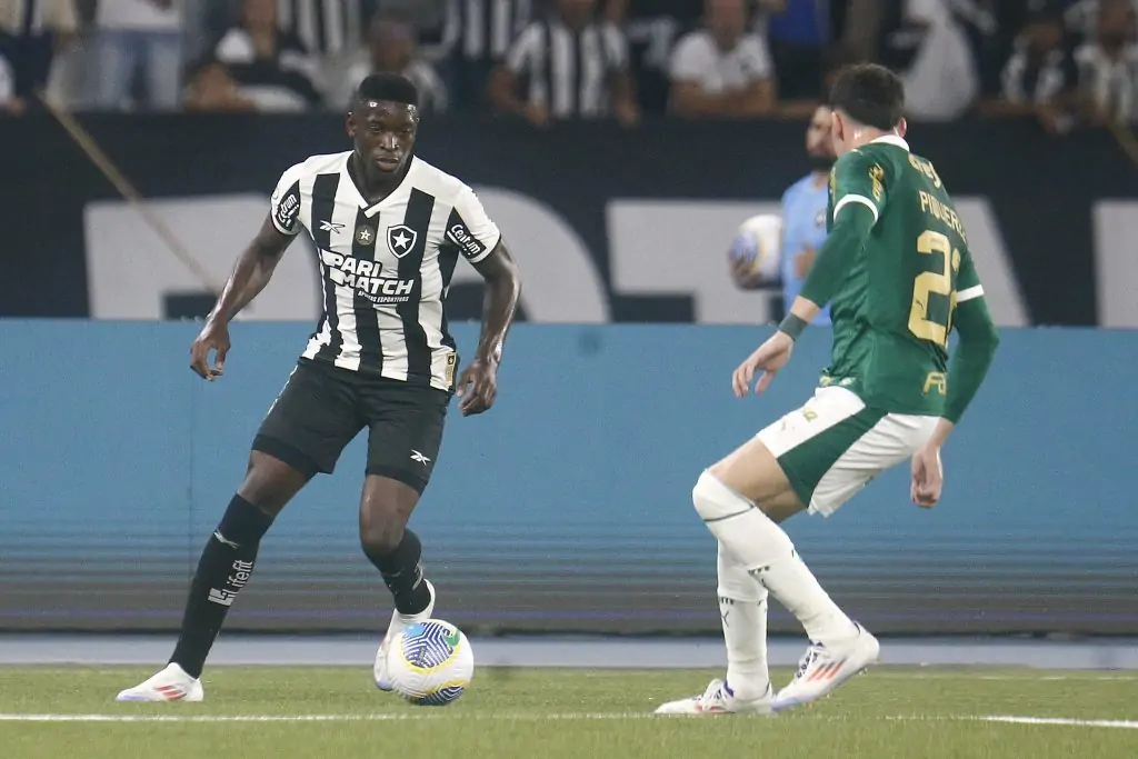 botafogo palmeiras luiz henrique