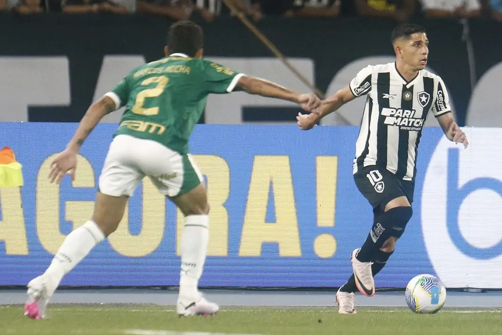 botafogo palmeiras savarino