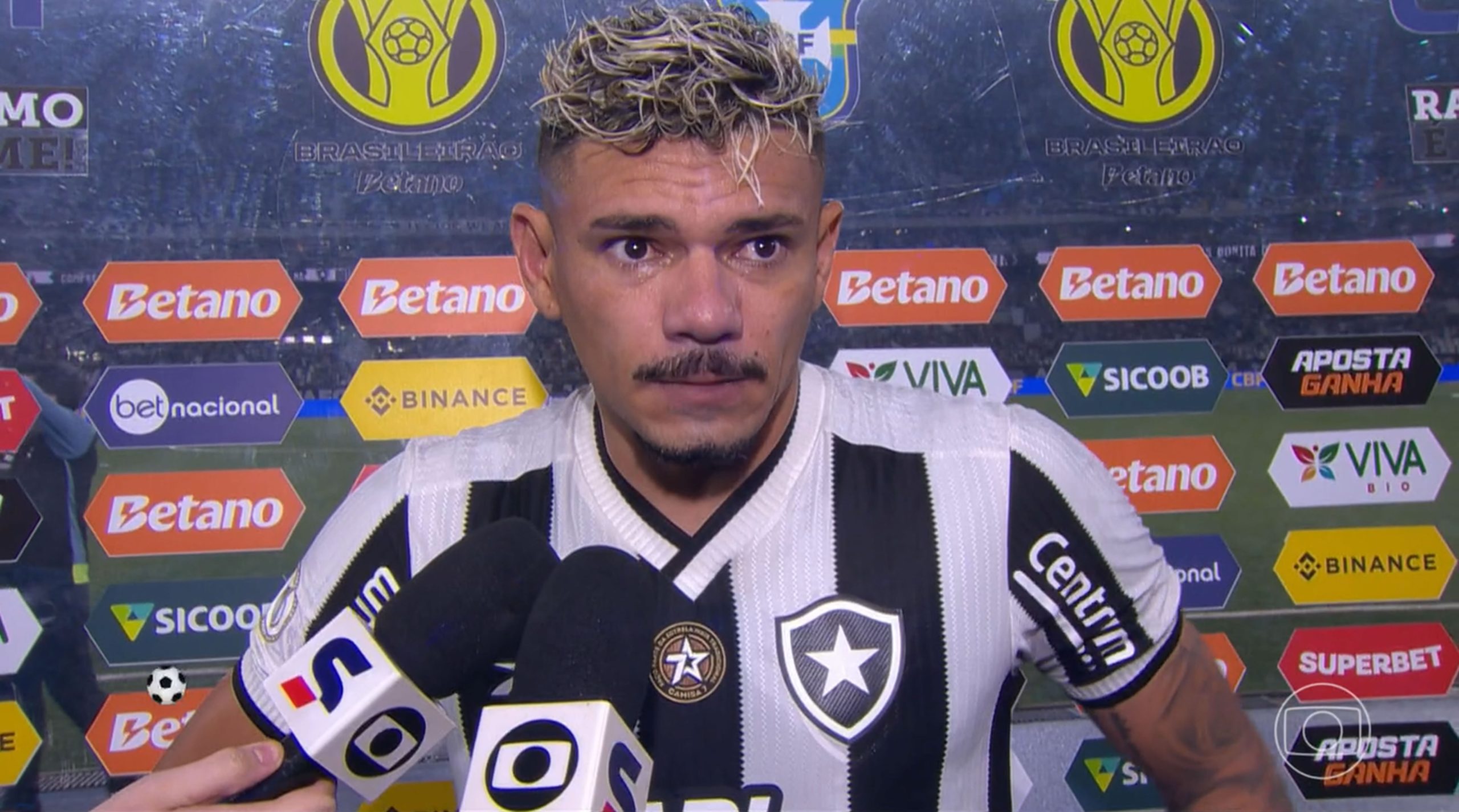 botafogo palmeiras tiquinho entrevista