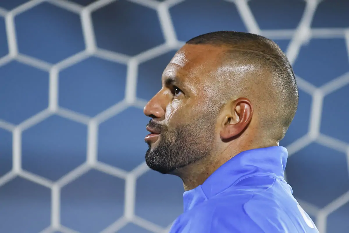 botafogo palmeiras weverton