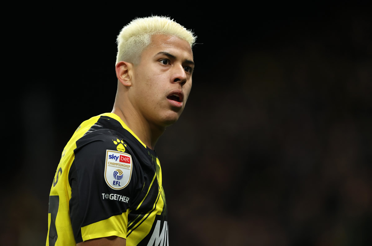 matheus martins botafogo watford