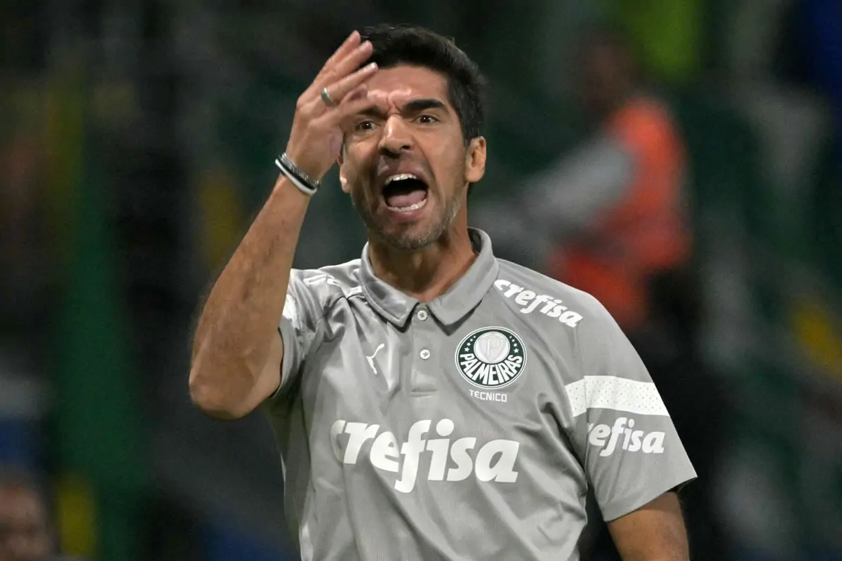 abel braga botafogo palmeiras