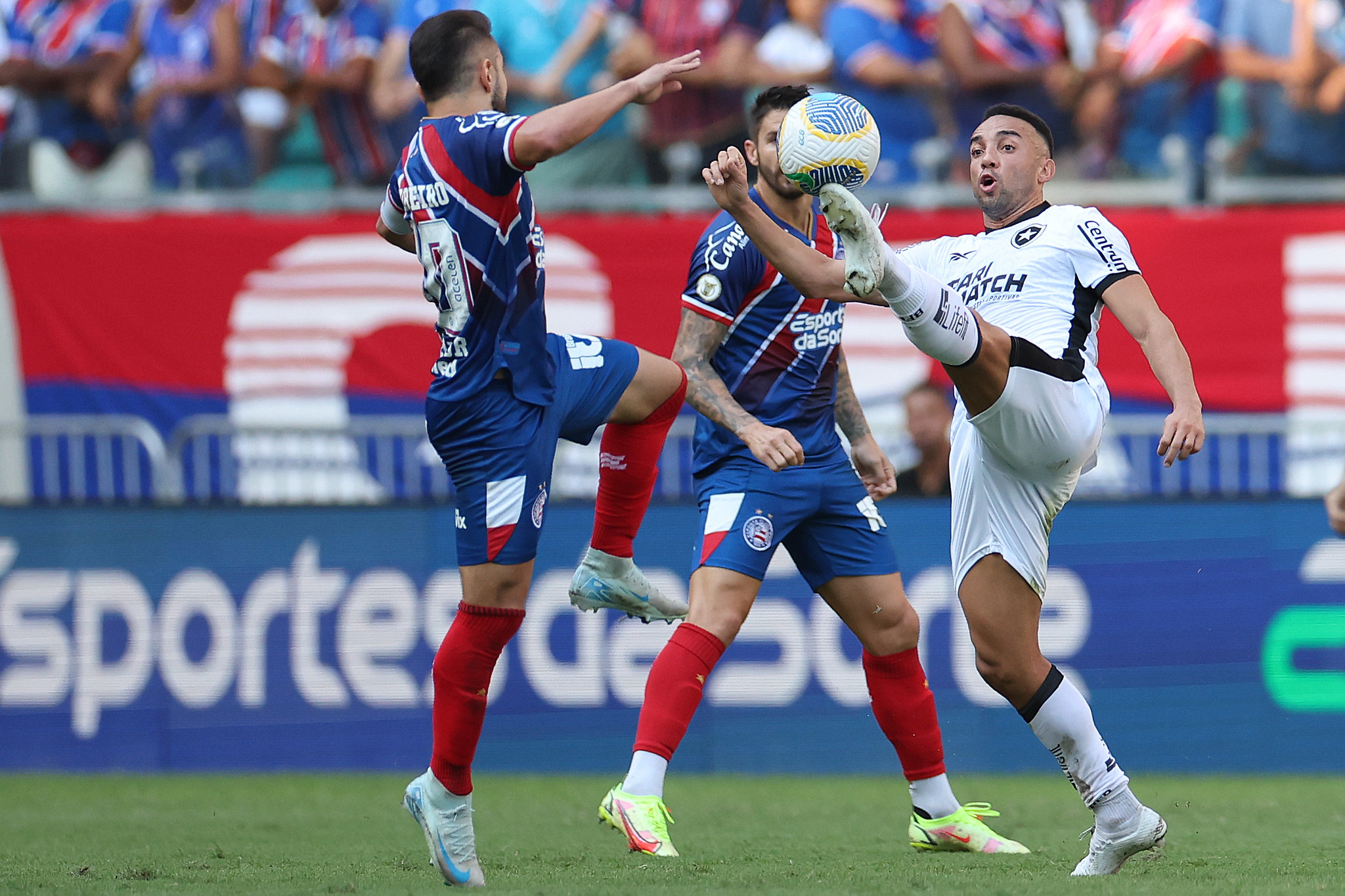 bahia botafogo fernando marcal