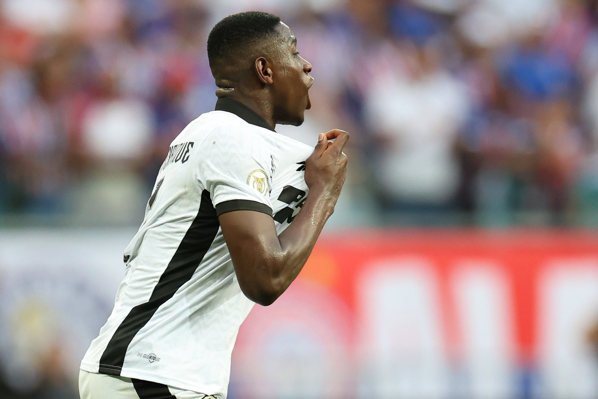 bahia botafogo luiz henrique