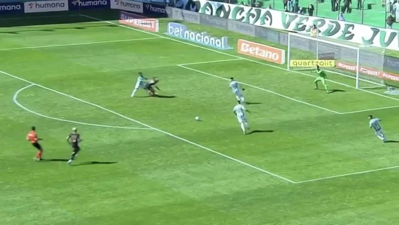 botafogo juventude carlos alberto penalti nadine basttos