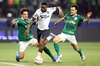botafogo palmeiras bastos