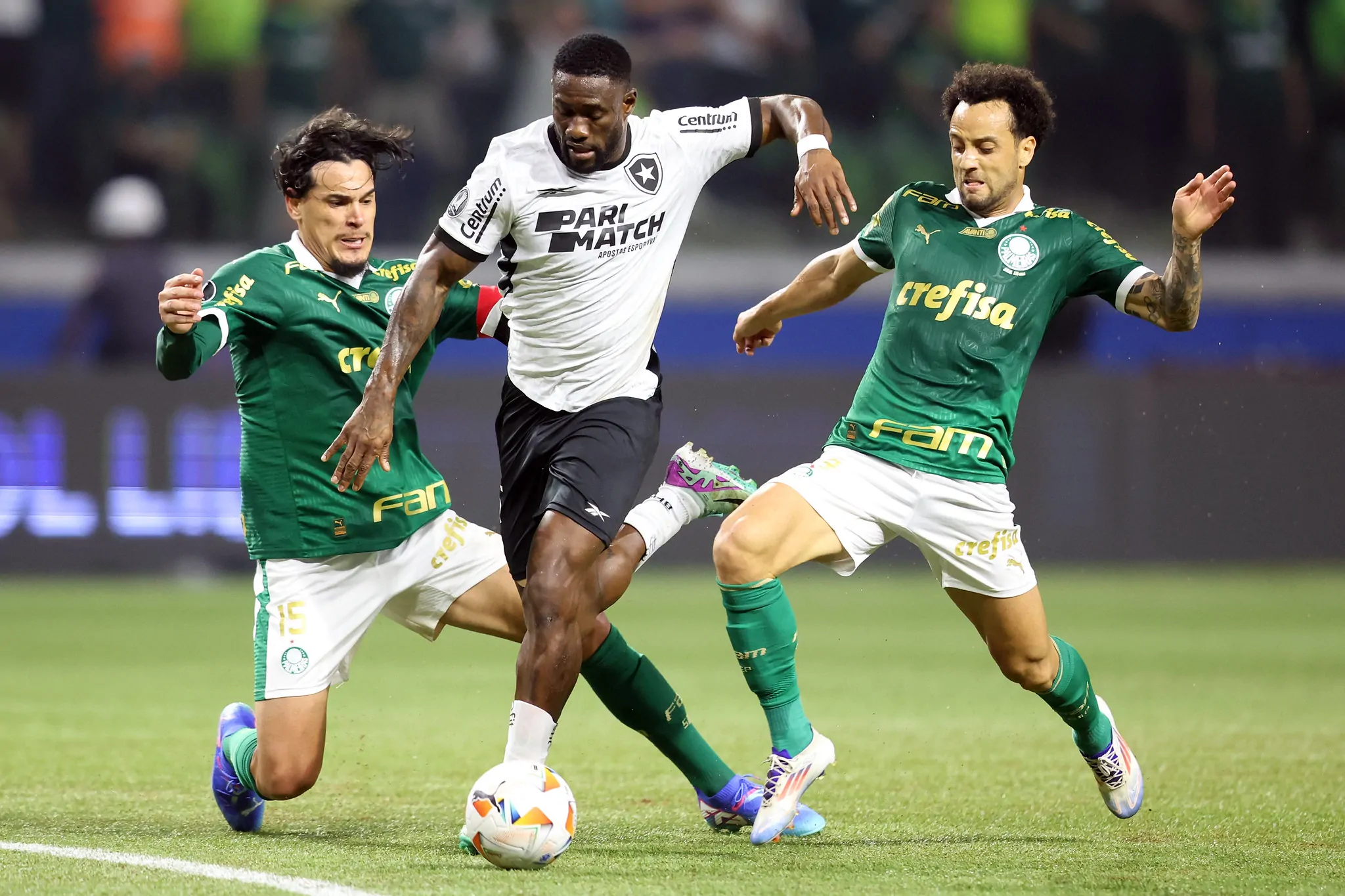 botafogo palmeiras bastos