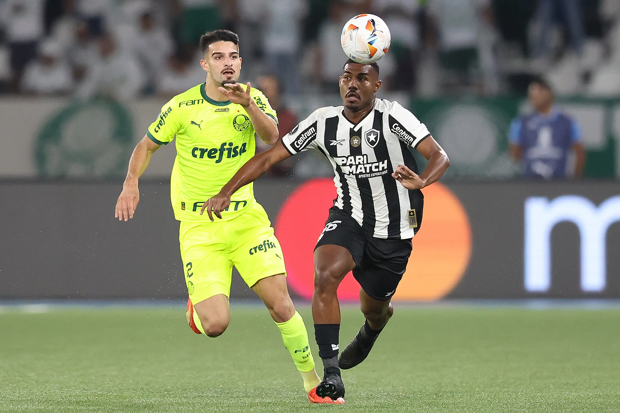 botafogo palmeiras cuiabano