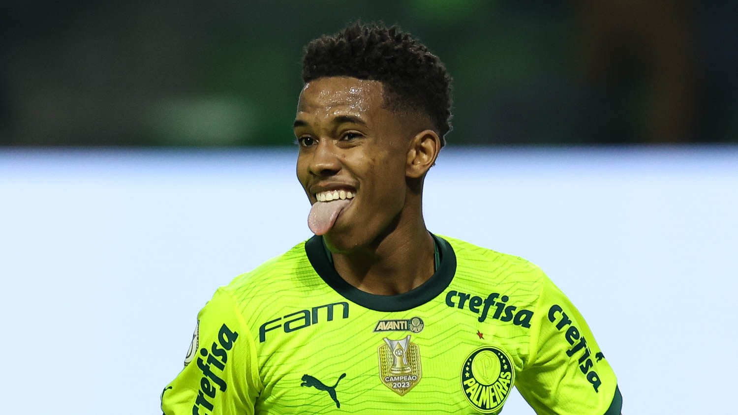 botafogo palmeiras estevao