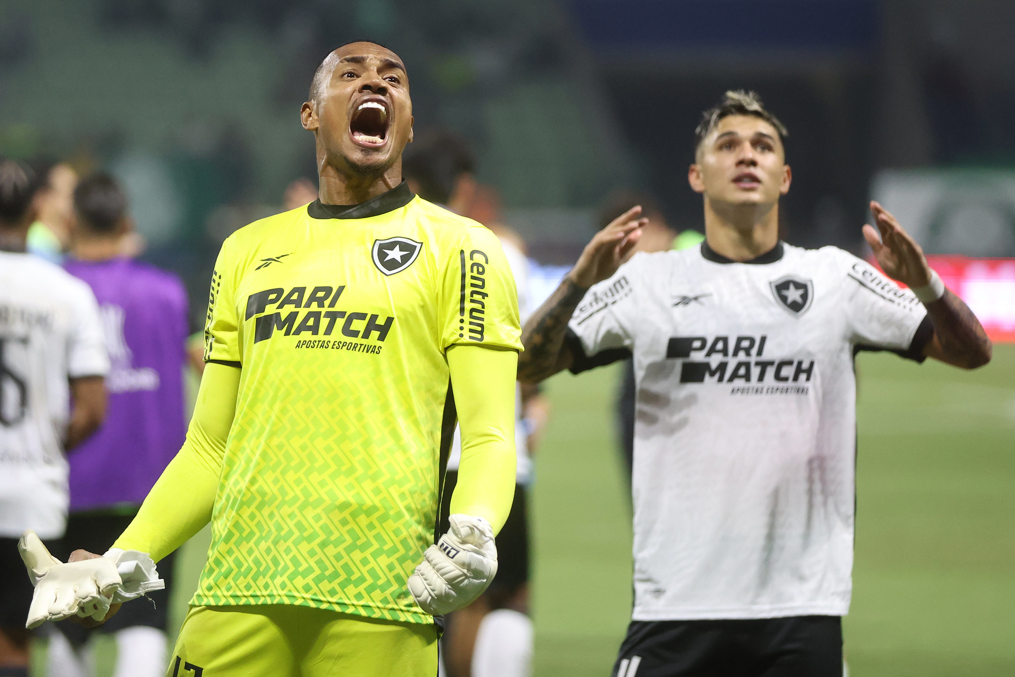 botafogo palmeiras john