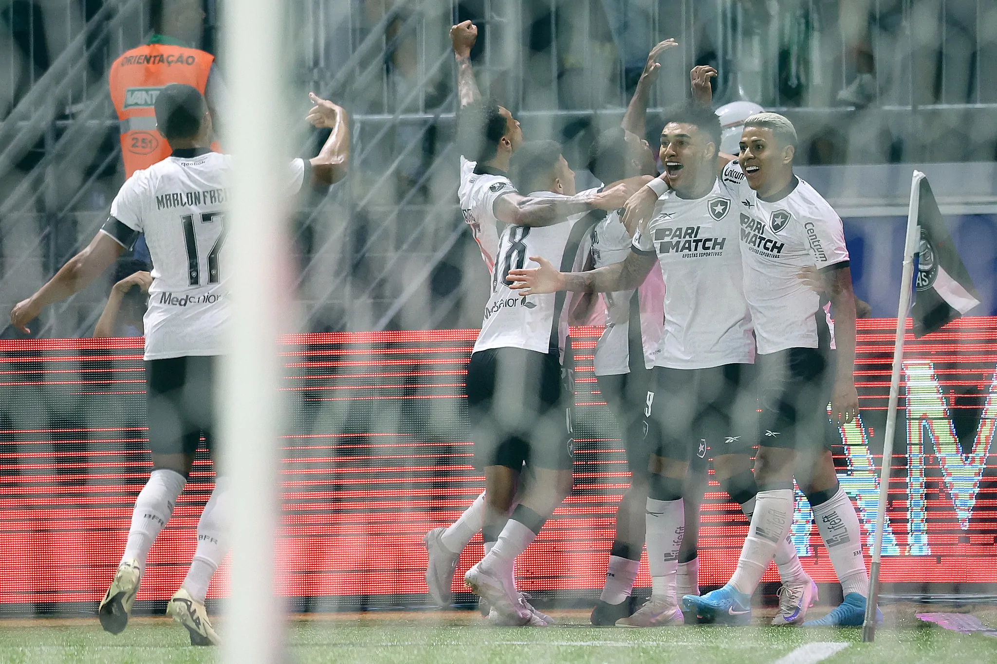 botafogo palmeiras libertadores
