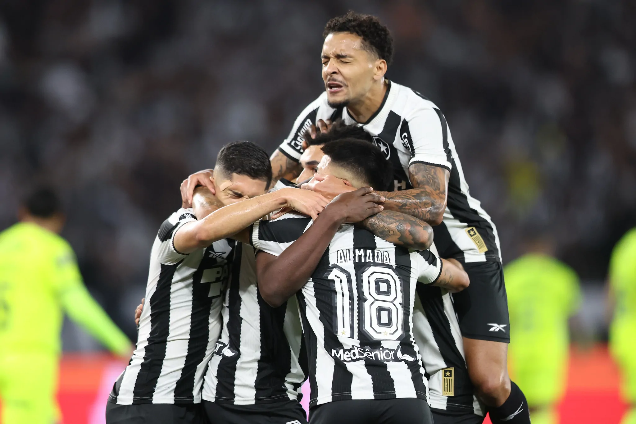 botafogo palmeiras libertadores