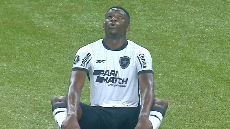 botafogo palmeiras luiz henrique