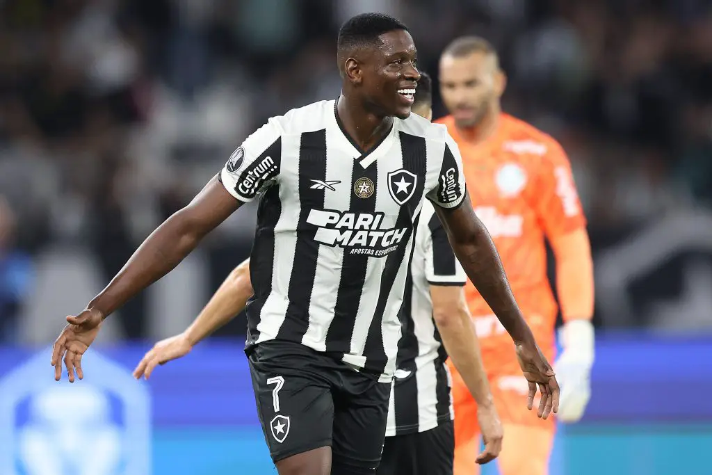 botafogo palmeiras luiz henrique libertadores