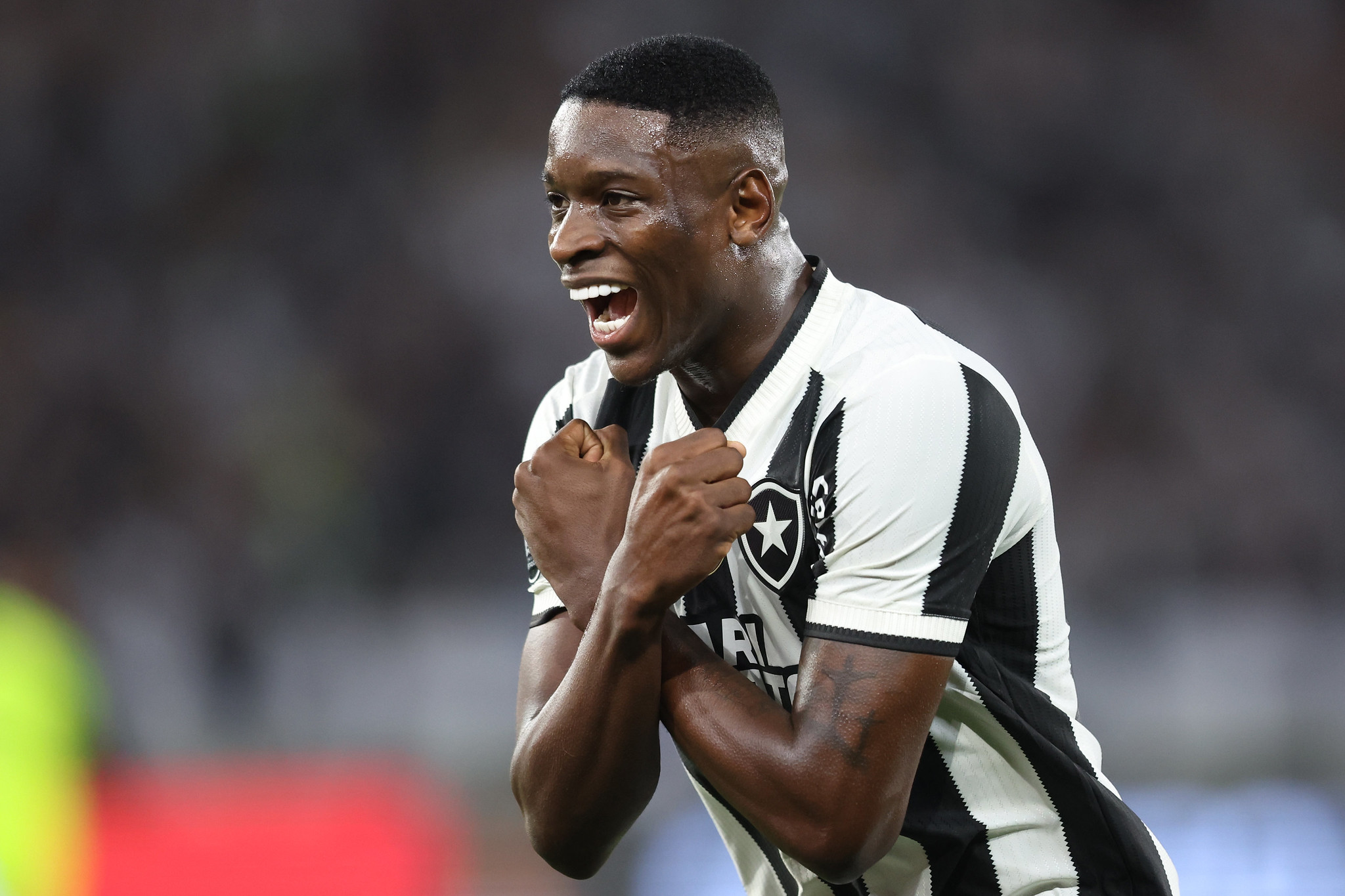 botafogo palmeiras luiz henrique