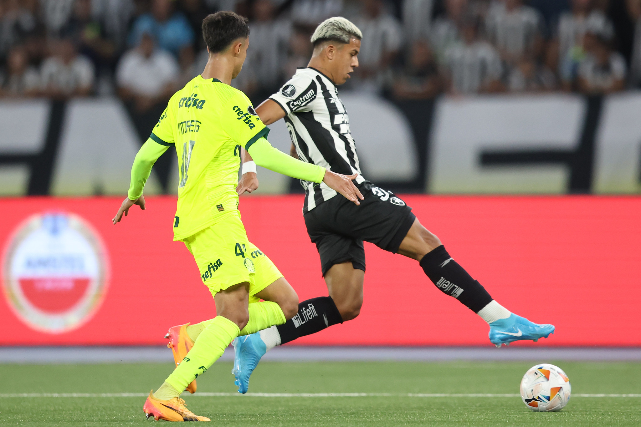 botafogo palmeiras matheus martins