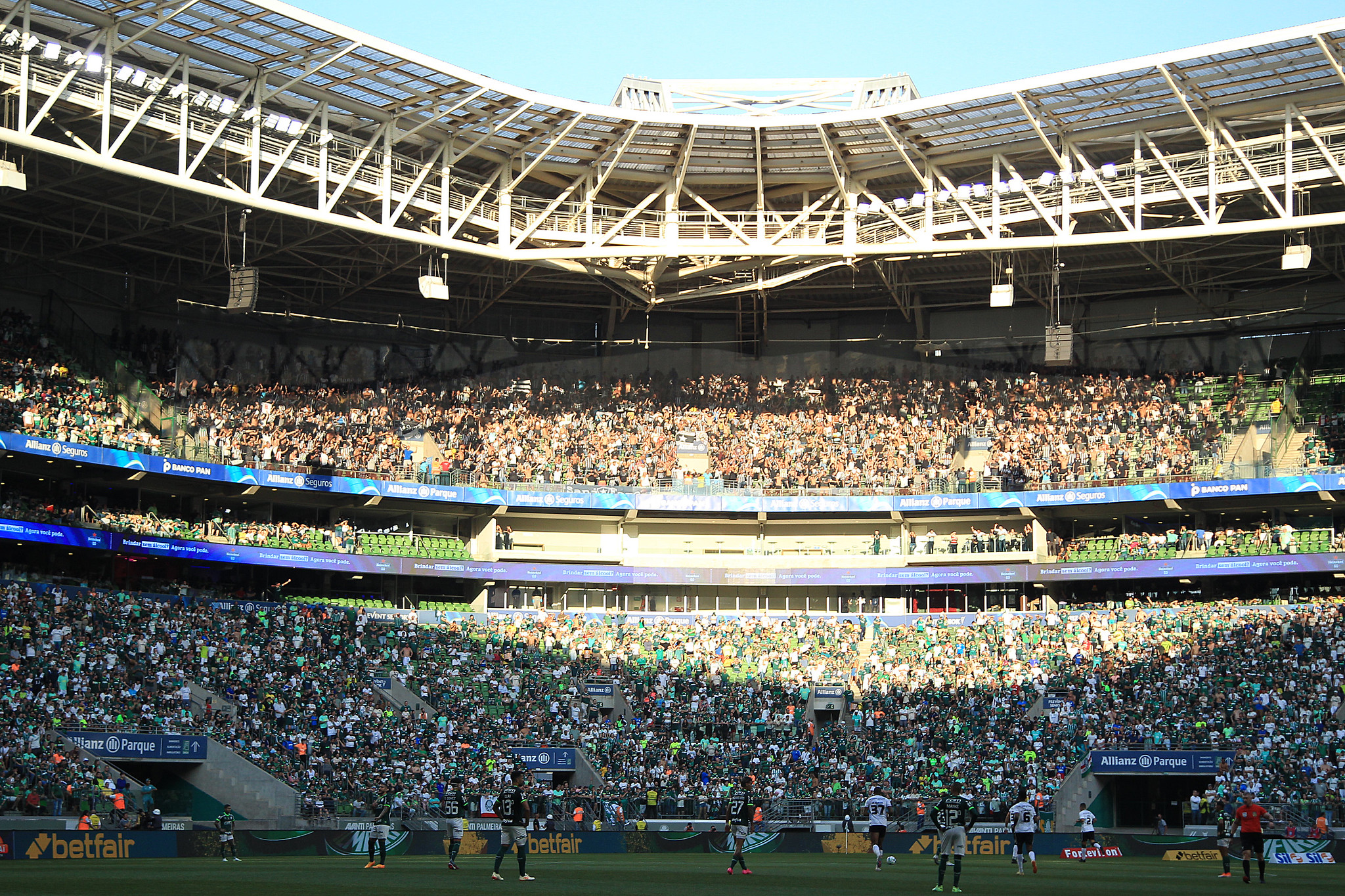 botafogo palmeiras onde assistir libertadores