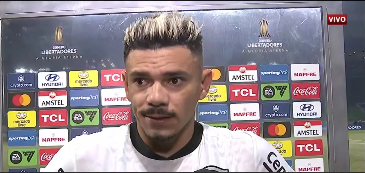 botafogo palmeiras tiquinho entrevista
