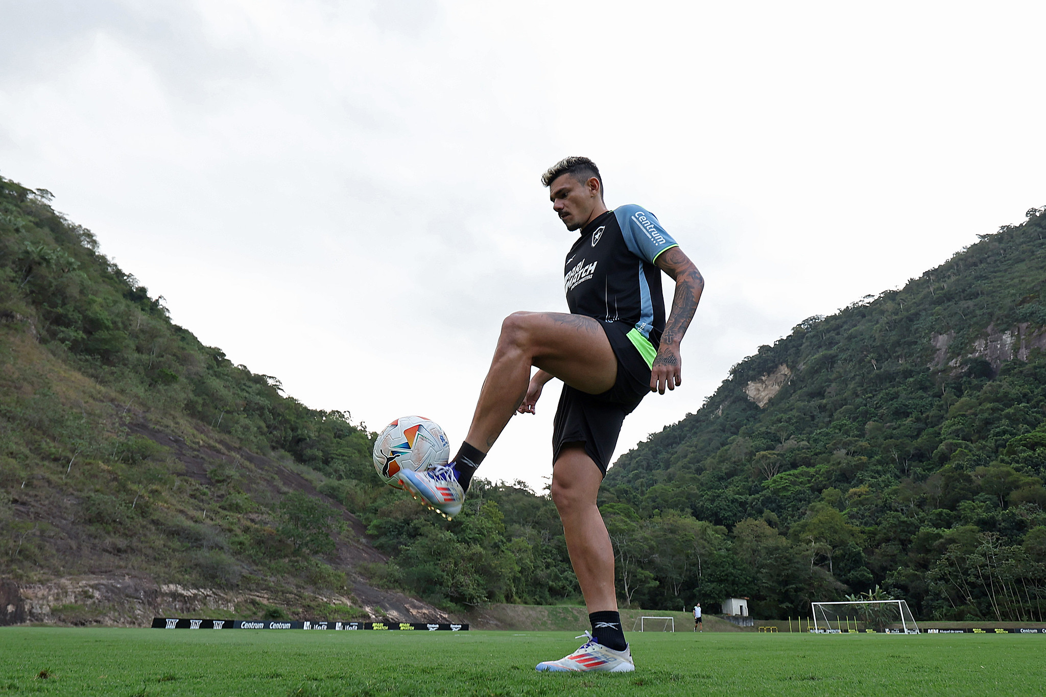 botafogo palmeiras tiquinho soares