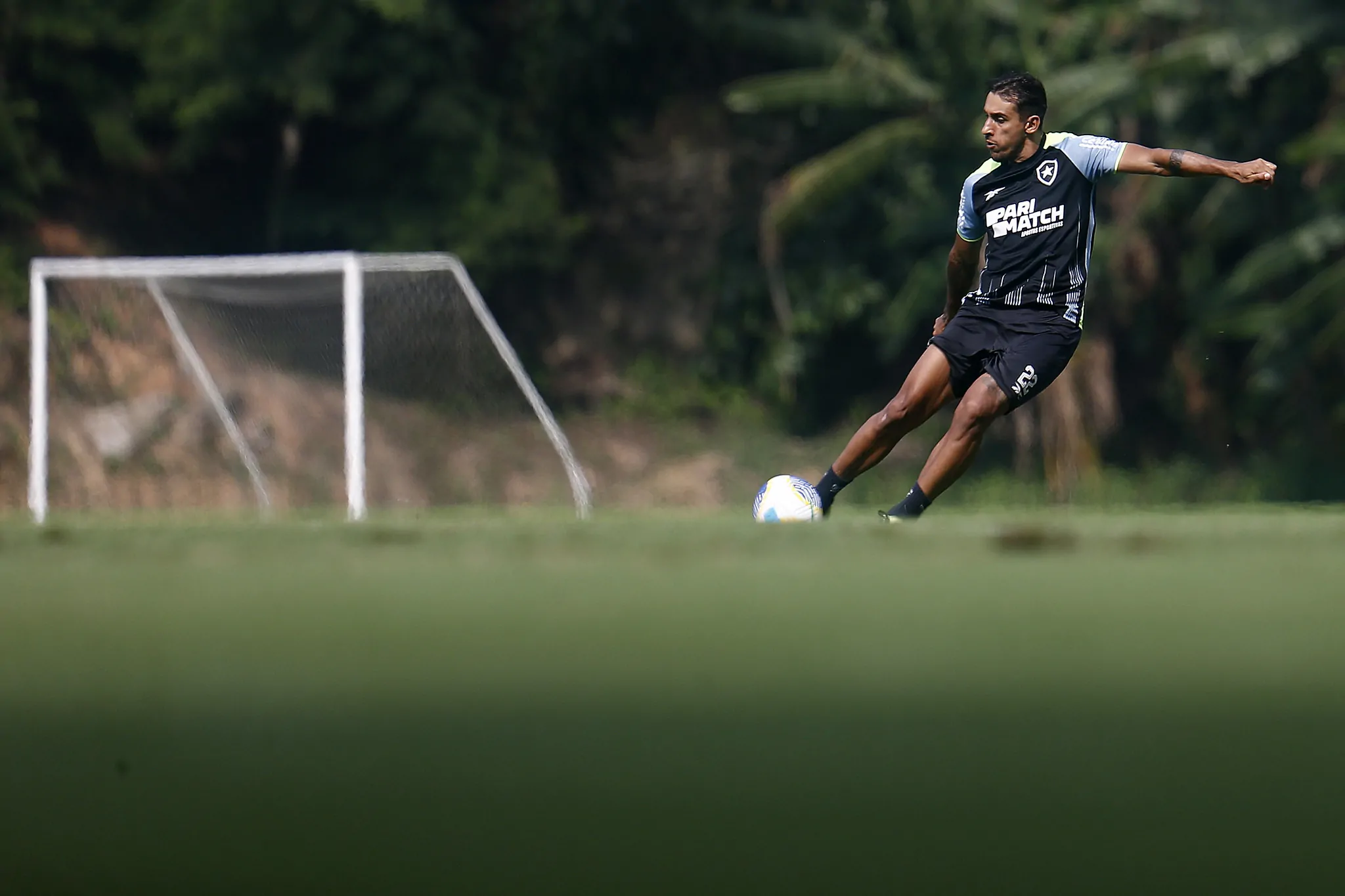 damian suarez botafogo