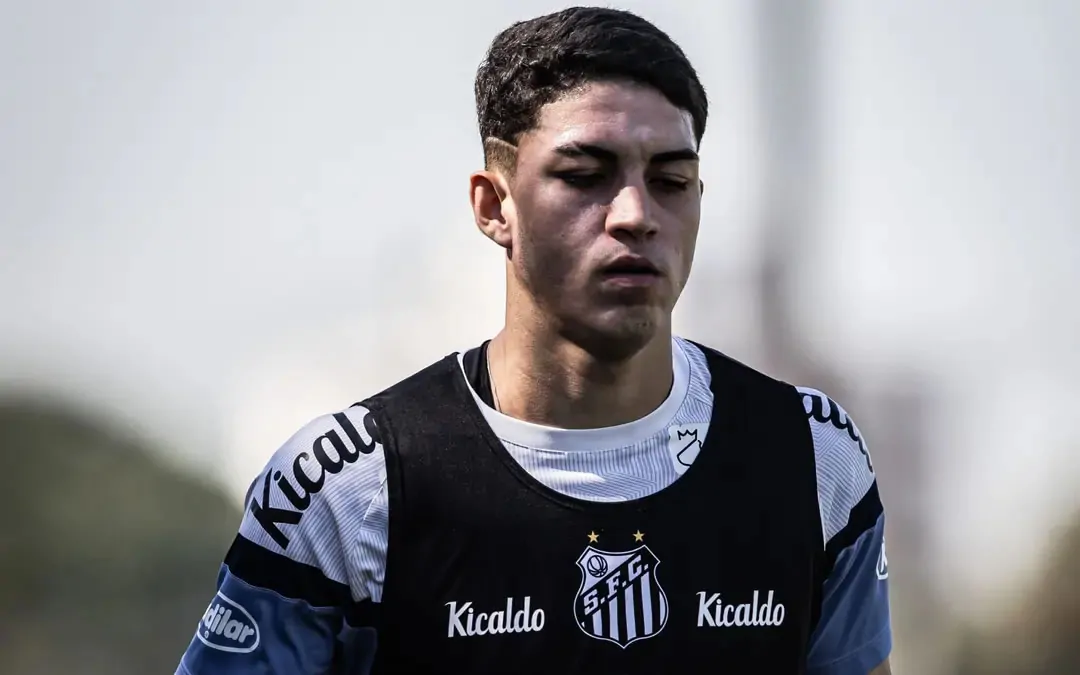 jair zagueiro santos botafogo